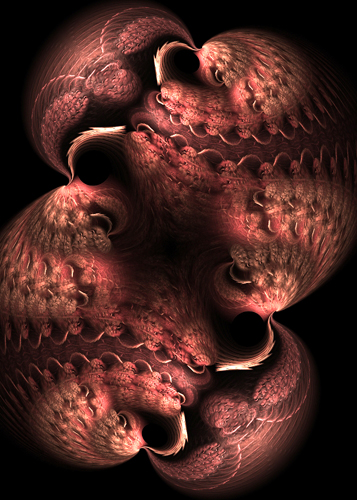 Image #3 of 12: 